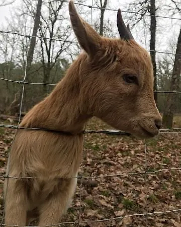 Ti'nid, Chaleureuse Plongee Dans La Nature