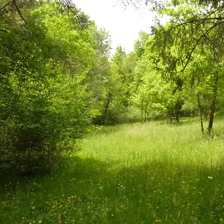 Camping Ti'nid, Chaleureuse Plongée Dans La Nature Montignac-Lascaux