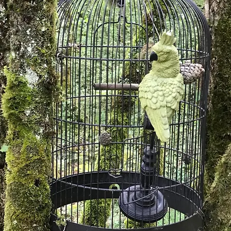 Ti'nid, Chaleureuse Plongee Dans La Nature Montignac-Lascaux