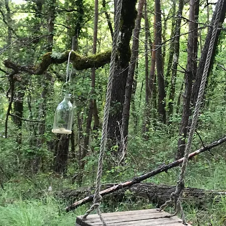 Ti'nid, Chaleureuse Plongee Dans La Nature * Montignac-Lascaux