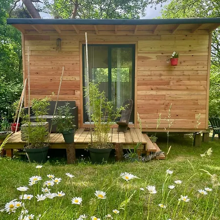 Campsite Ti'nid, Chaleureuse Plongee Dans La Nature Montignac-Lascaux