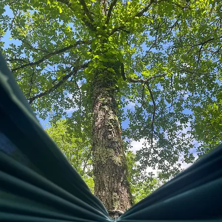 Camping Ti'nid, Chaleureuse Plongée Dans La Nature Montignac-Lascaux