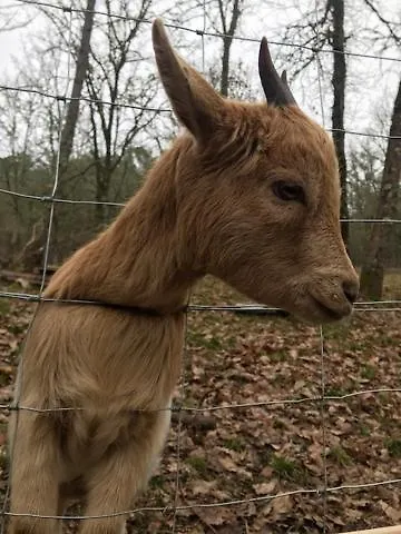 Ti'nid, Chaleureuse Plongee Dans La Nature
