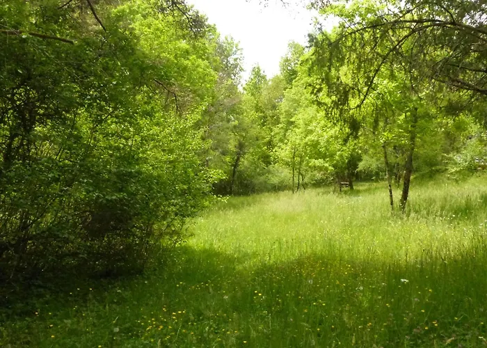 Campingplatz Ti'nid, Chaleureuse Plongee Dans La Nature Montignac-Lascaux