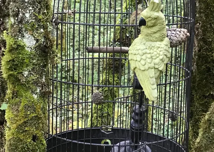 Ti'nid, Chaleureuse Plongee Dans La Nature Montignac-Lascaux