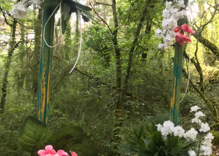 Ti'nid, Chaleureuse Plongee Dans La Nature Campingplatz Montignac-Lascaux