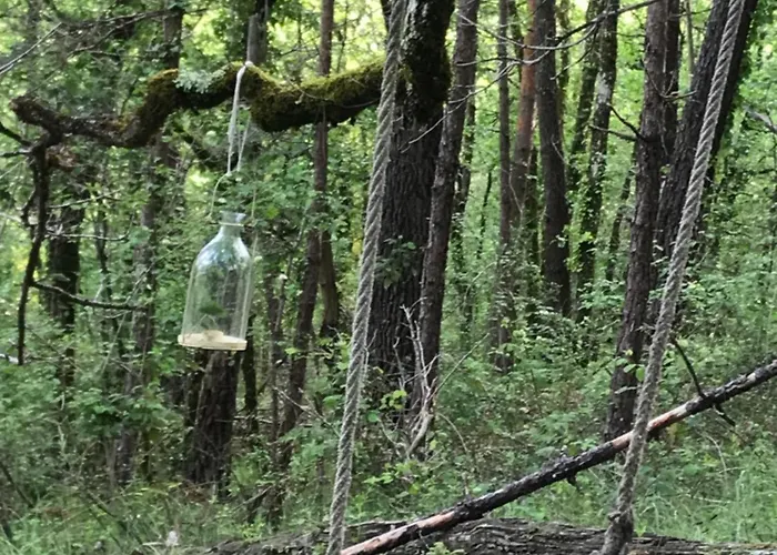 Ti'nid, Chaleureuse Plongee Dans La Nature * Montignac-Lascaux