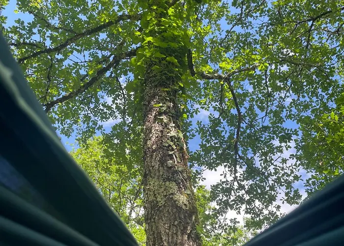 Campingplatz Ti'nid, Chaleureuse Plongee Dans La Nature Montignac-Lascaux
